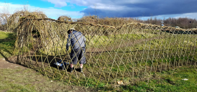 Willow Weaving on the Green